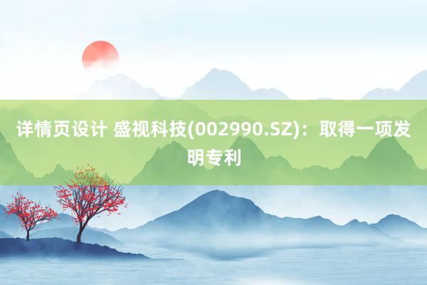 详情页设计 盛视科技(002990.SZ)：取得一项发明专利